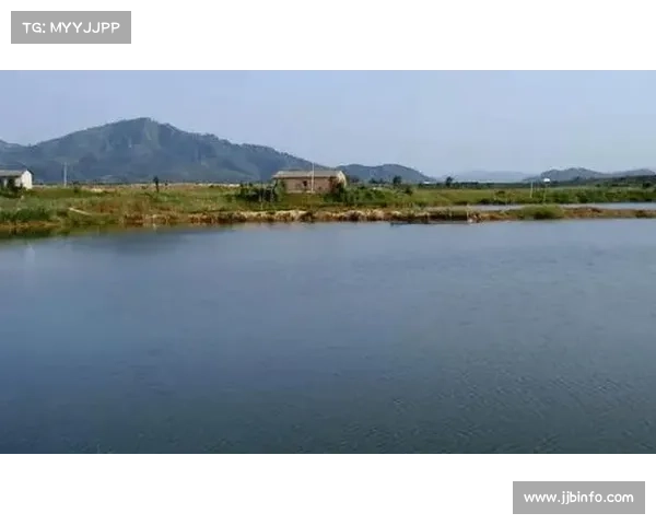 鹤地水库每日晨测水质透明度分析与变化趋势记录 鹤地水库每日晨测水质透明度分析与变化趋势记录