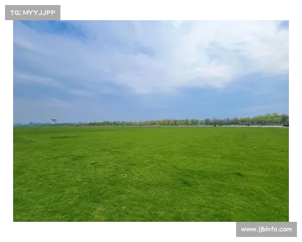 骆岗公园优质场地保障全国青少年棒球公开赛顺利进行 骆岗公园优质场地保障全国青少年棒球公开赛顺利进行